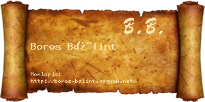 Boros Bálint névjegykártya